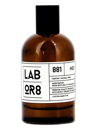 Hod 881 Labor8