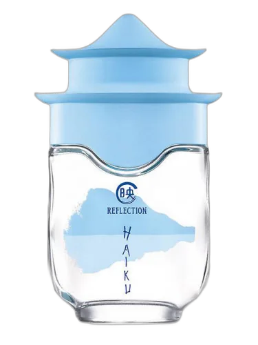 Haiku Reflection Avon by Avon