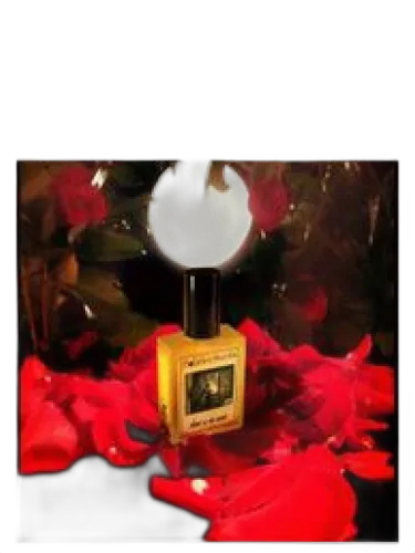 Heart Of The Night Solstice Scents
