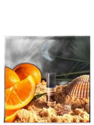Heat Of The Night Solstice Scents