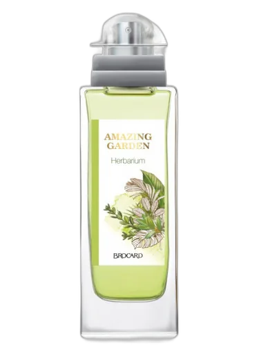 Herbarium Brocard by Brocard