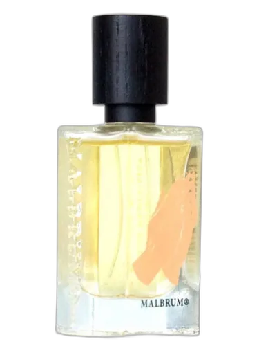 Here Comes The Son Malbrum Parfums