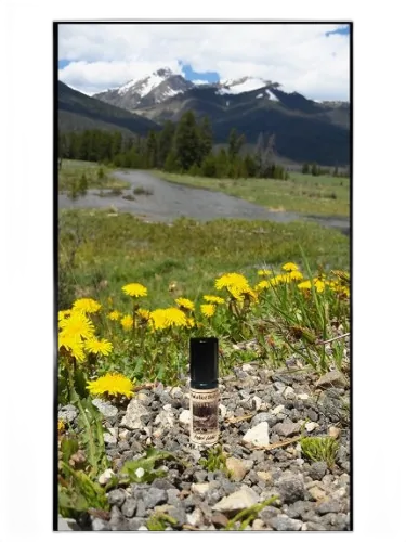 Hidden Lodge Solstice Scents by Solstice Scents