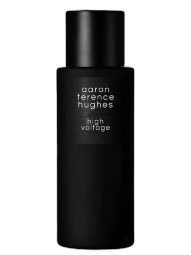 High Voltage Aaron Terence Hughes by Aaron Terence Hughes