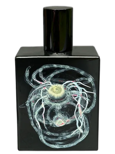 High To Lotus Space Fluid by Space Fluid