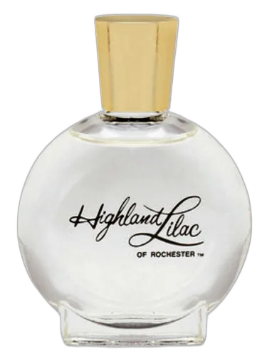 Highland Lilac Highland Lilac Of Rochester by Highland Lilac of Rochester
