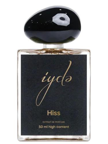 Hiss İydə