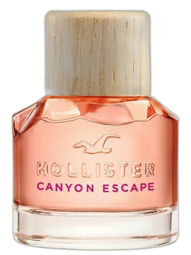 Hollister Canyon Escape Woman Hollister