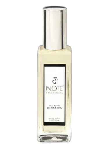Honey Blossom Note Fragrances