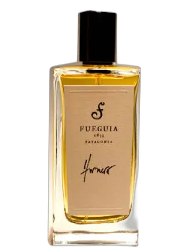 Hornero Fueguia 1833 by Fueguia 1833