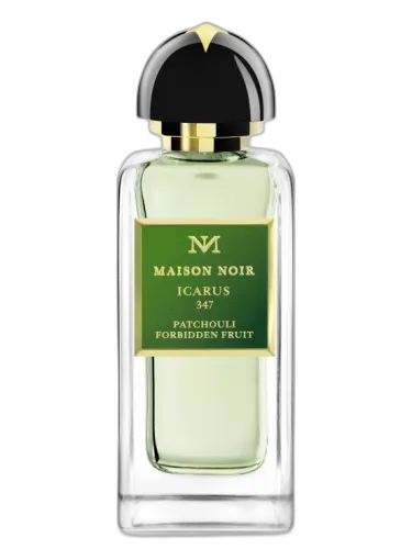 Icarus 347 Maison Noir by Maison Noir