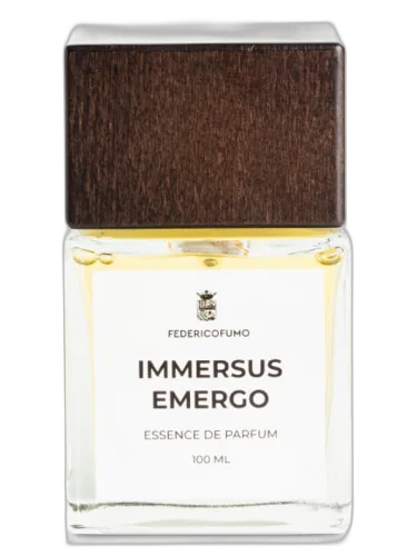 Immersus Emergo Federico Fumo