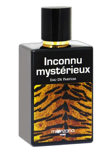Inconnu Mysterieux Manzana Paris