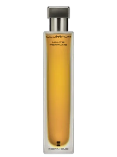 Indian Oud Illuminum