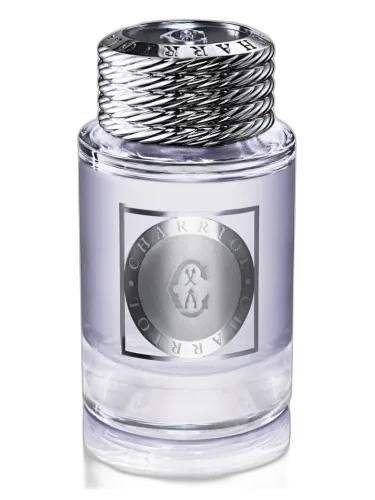 Infinite Celtic Charriol by Charriol