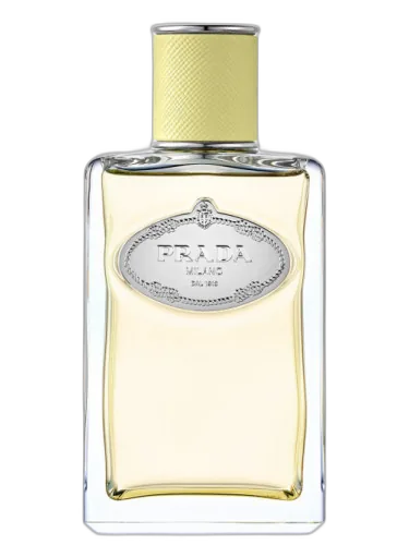 Infusion De Gingembre Prada by Prada
