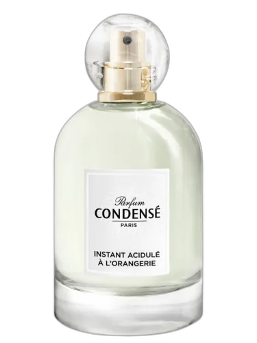 Instant Acidulé À L'orangerie Condensé Paris by Condensé Paris