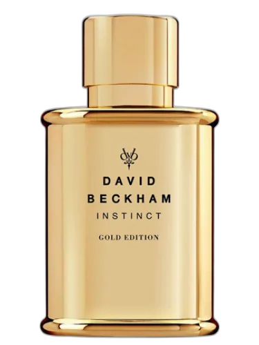 Instinct Gold Edition David Beckham by David Beckham