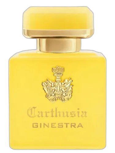 Intenso Di Ginestra Carthusia by Carthusia