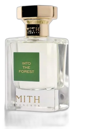 Into The Forest Mith by Mith