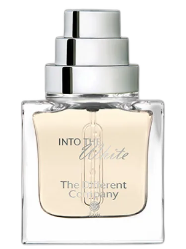 Into The White The Different Company by The Different Company