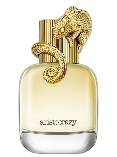 Intuitive Aristocrazy by Aristocrazy