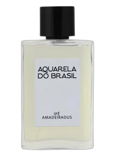 Ipê Amadeiradus Aquarela Do Brasil