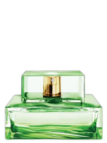 Island Palm Beach Michael Kors