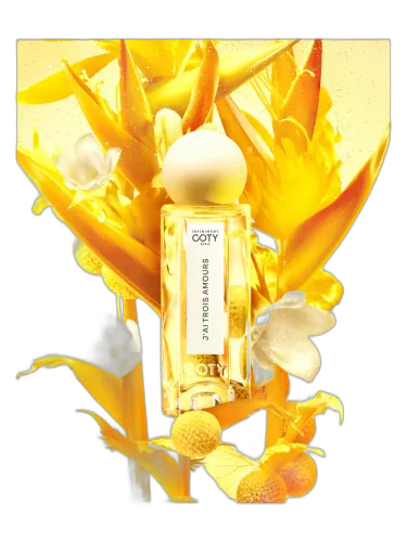 J'ai Trois Amours Infiniment Coty Paris by Infiniment Coty Paris