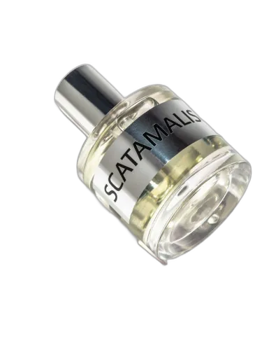 Jd Scatamalis Base Jd Jeffrey Dame