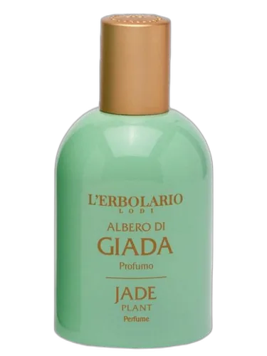 Jade Plant L'erbolario