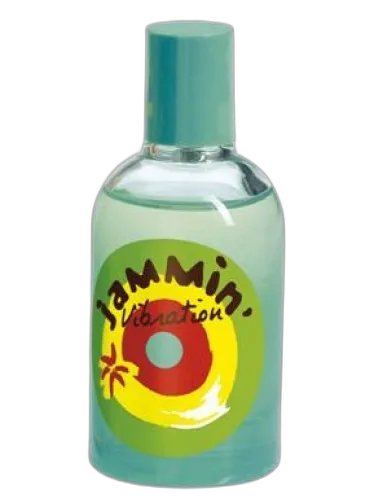 Jammin Vibration Reminiscence by Reminiscence