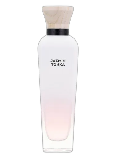 Jazmín Tonka Adolfo Dominguez by Adolfo Dominguez