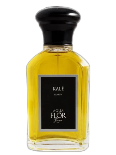 Kale Aquaflor Firenze by Aquaflor Firenze
