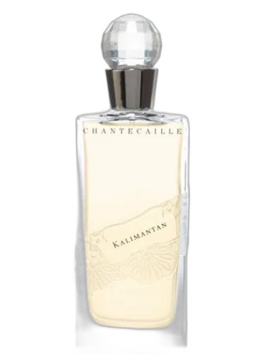 Kalimantan Chantecaille by Chantecaille