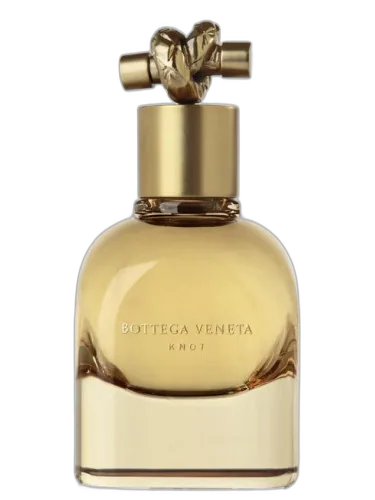 Knot Bottega Veneta
