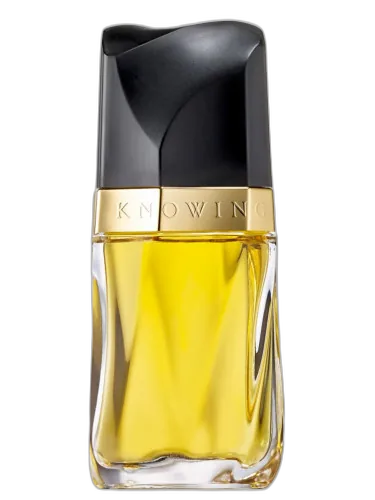 Knowing Estée Lauder by Estée Lauder