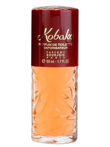 Kobako Bourjois by Bourjois