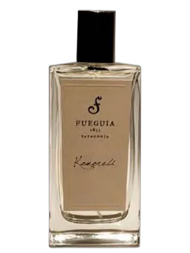 Komorebi Fueguia 1833 by Fueguia 1833