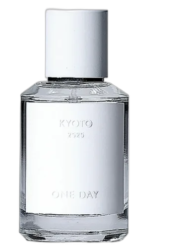 Kyoto One Day by One Day