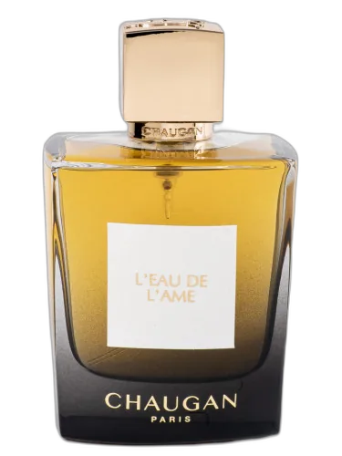 L'eau De L'ame Chaugan by Chaugan