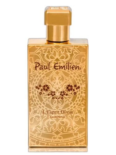 L'esprit Divin Paul Emilien by Paul Emilien