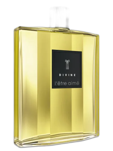 L'etre Aime Homme Divine by Divine