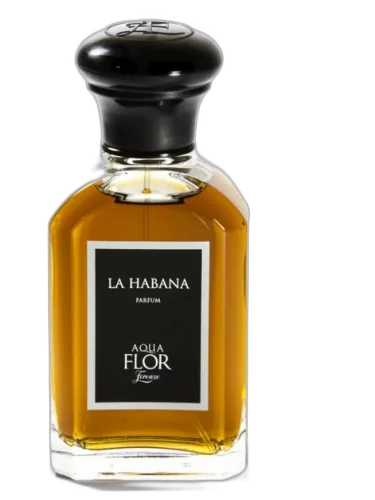 La Habana Aquaflor Firenze by Aquaflor Firenze