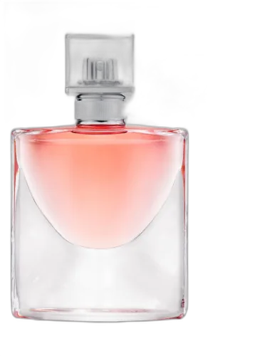 La Vie Est Belle Domaine De La Rose Lancôme by Lancôme