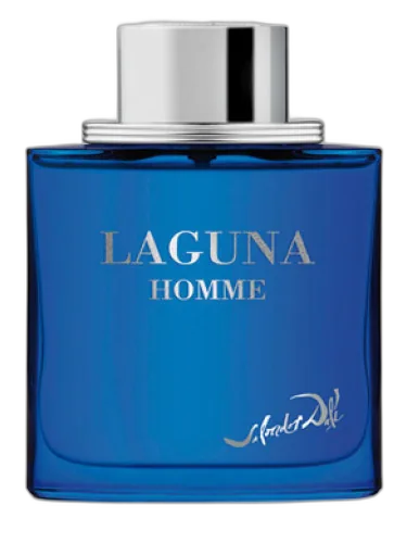 Laguna Homme Salvador Dali by Salvador Dali