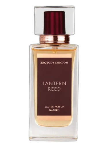 Lantern Reed Prosody London by Prosody London