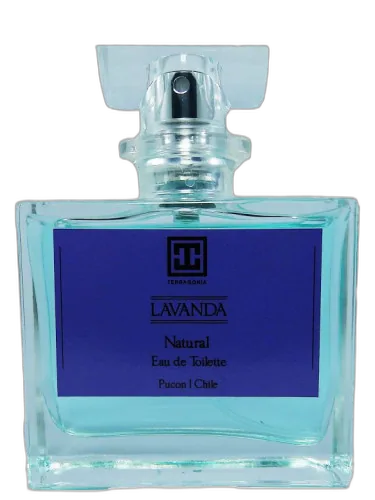 Lavanda Terragonia