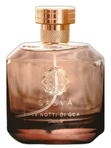 Le Notti Di Goa - Shanthi Sasva by Sasva