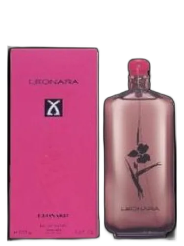 Leonara Leonard by Leonard